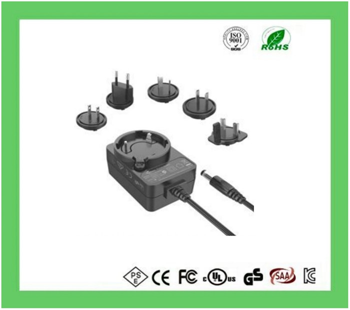 12W Interchangeable Power Adapter