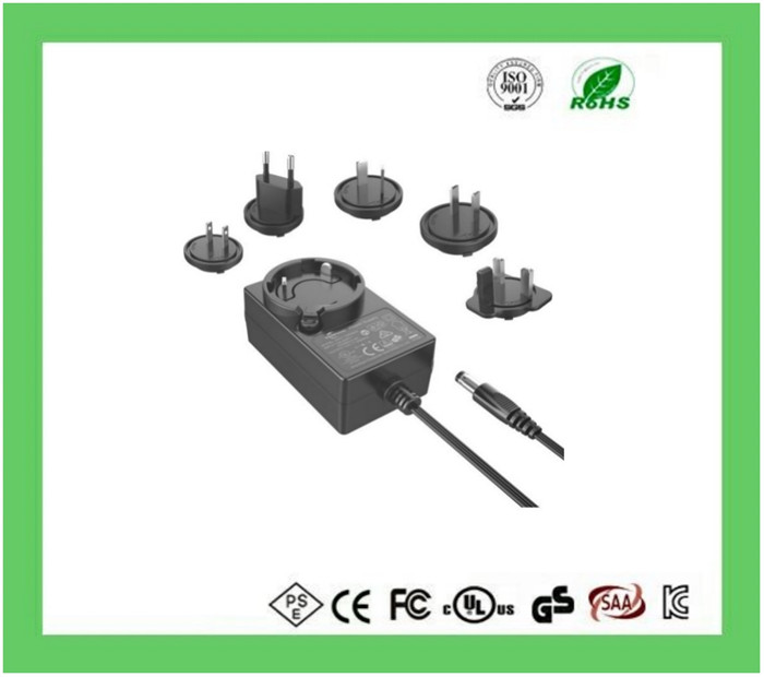 24W Interchangeable Power Adapter